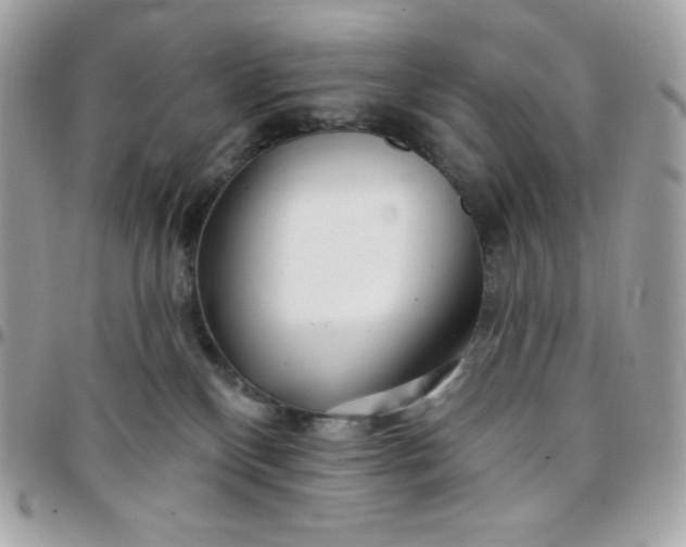 X0000097750136200803211700