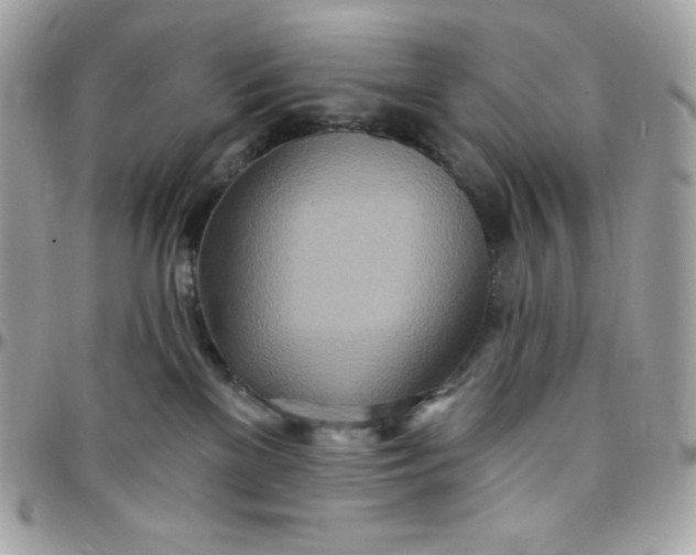 X0000097750137200803211700