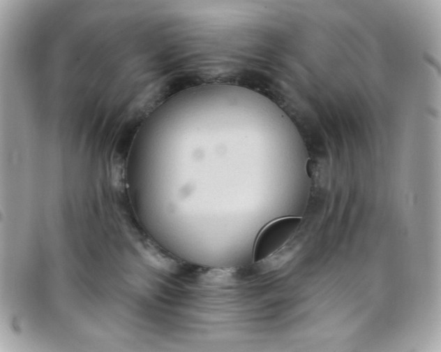 X0000097750138200803211700