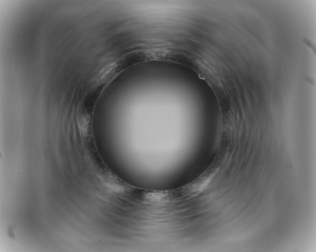 X0000097750139200803211700