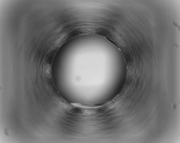 X0000097750141200803211700