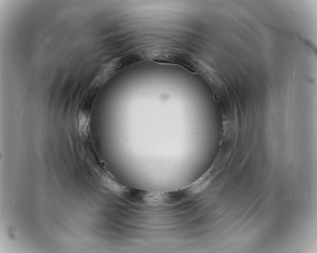 X0000097750142200803211700