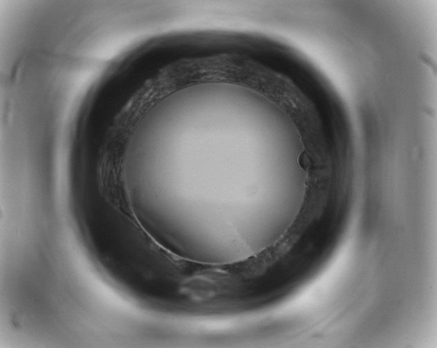 X0000097750143200803211700