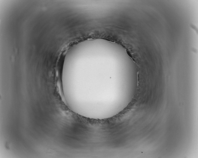 X0000097750144200803211700