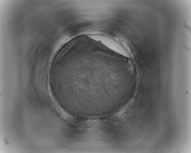 X0000097750145200803211659