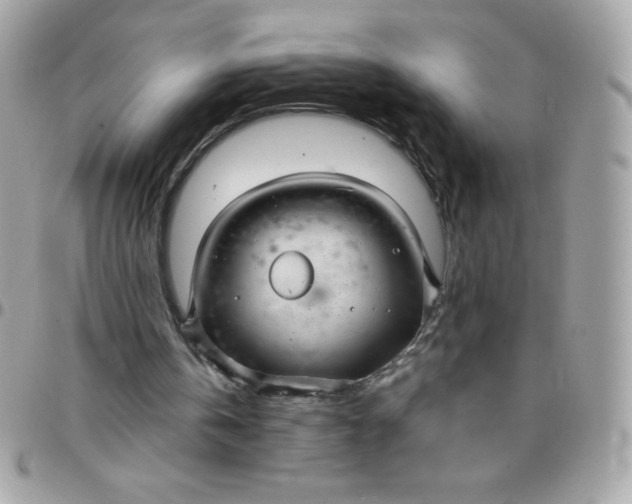 X0000097750146200803211659