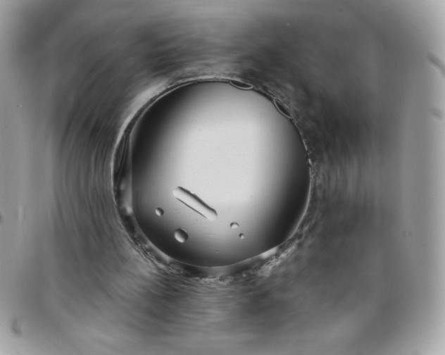 X0000097750148200803211659