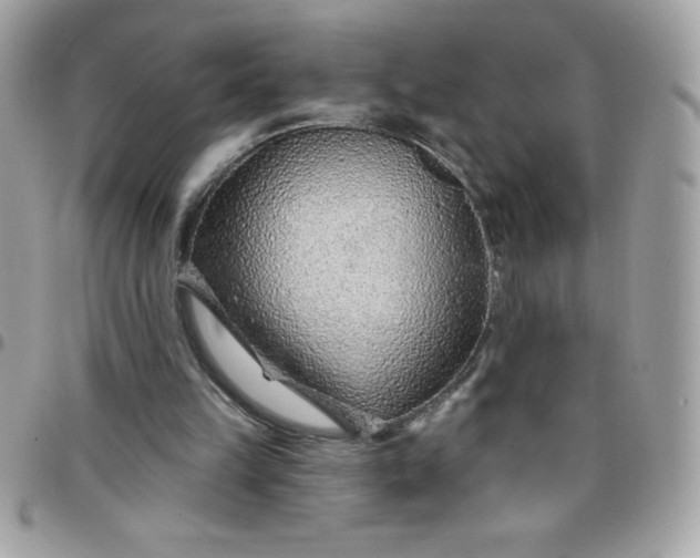 X0000097750149200803211659