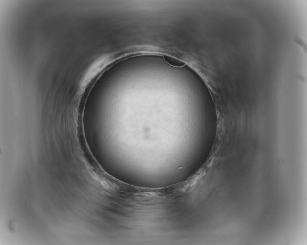 X0000097750151200803211659