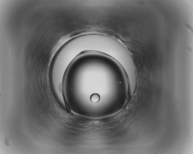 X0000097750152200803211659