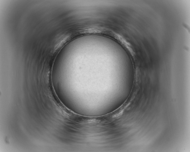 X0000097750153200803211659