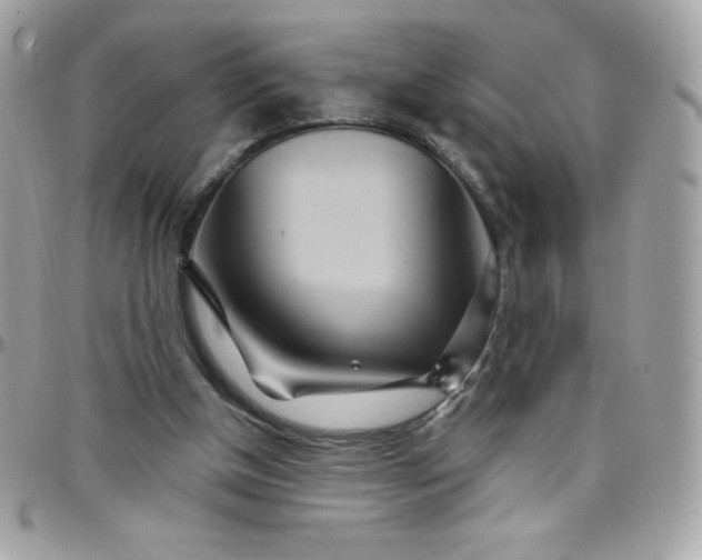 X0000097750154200803211659