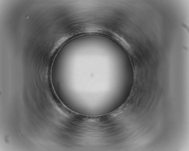 X0000097750155200803211700