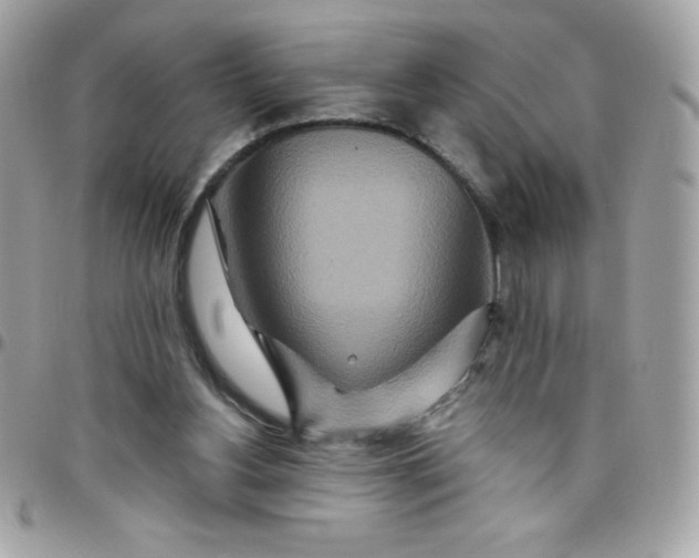 X0000097750156200803211700