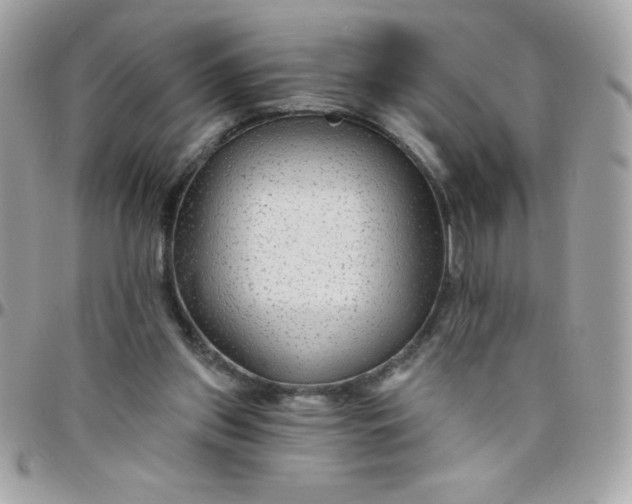 X0000097750157200803211700