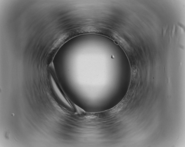 X0000097750158200803211700