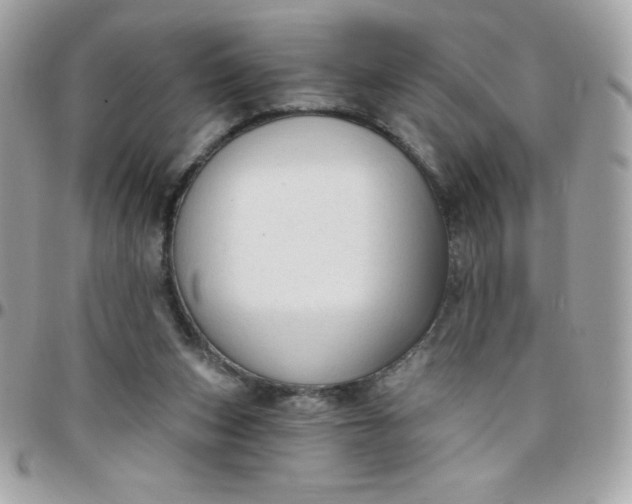 X0000097750159200803211700