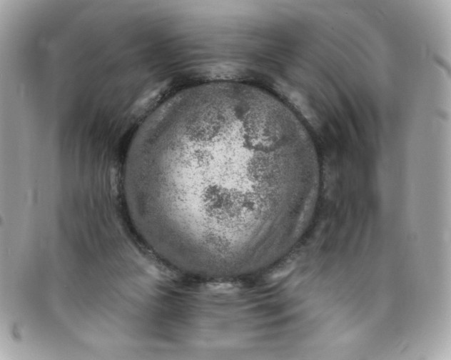 X0000097750161200803211700