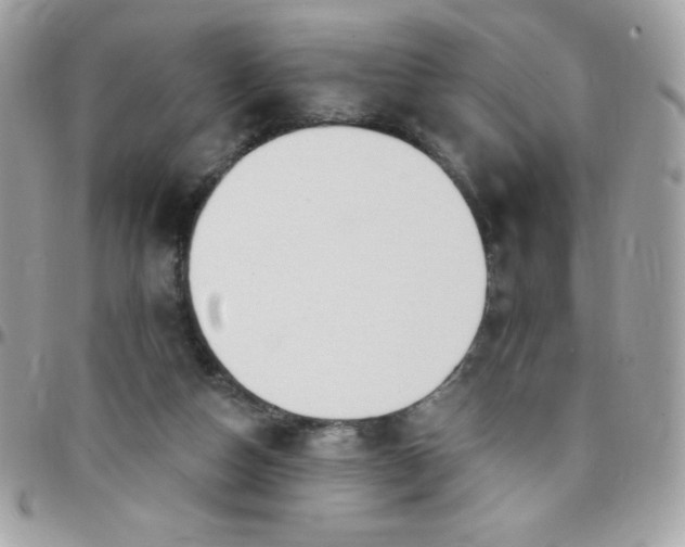 X0000097750162200803211700