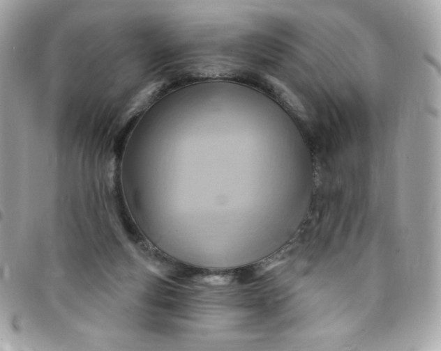 X0000097750163200803211700