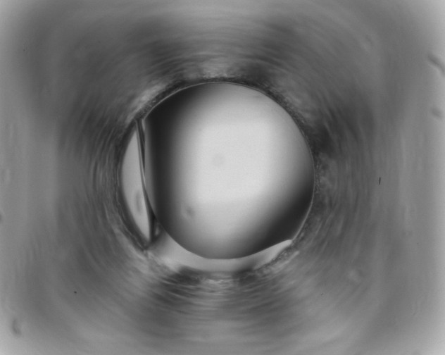 X0000097750164200803211700