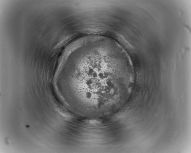 X0000097750165200803211700