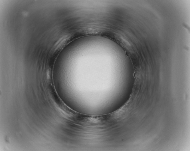 X0000097750166200803211700