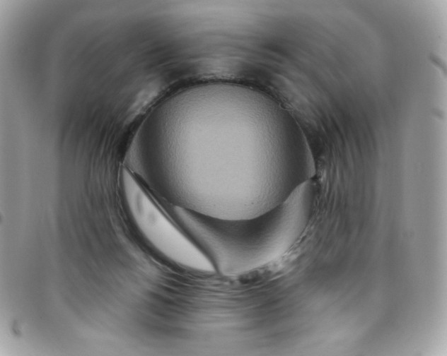 X0000097750168200803211700