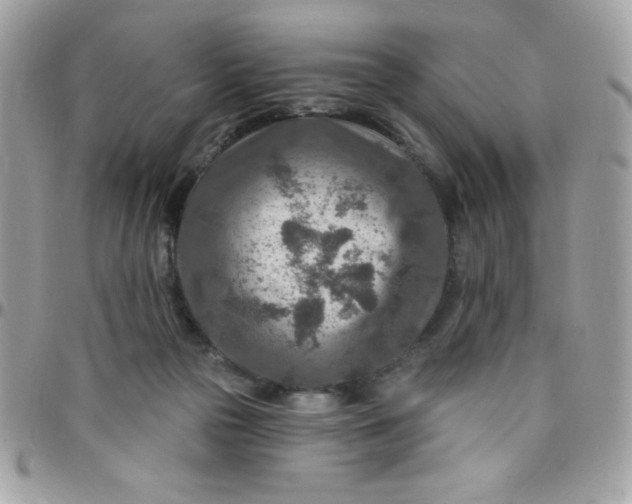 X0000097750169200803211700