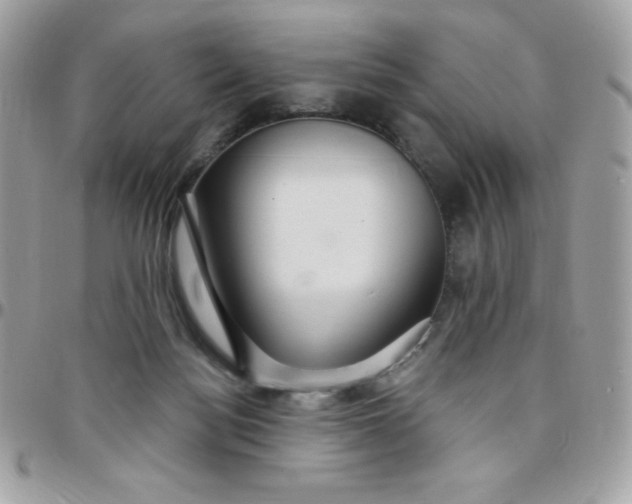 X0000097750172200803211700