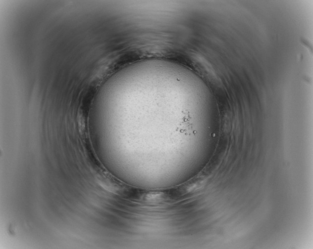 X0000097750173200803211700