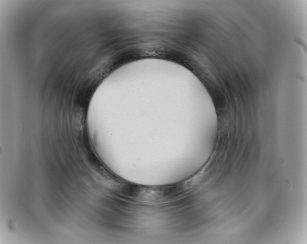 X0000097750174200803211700