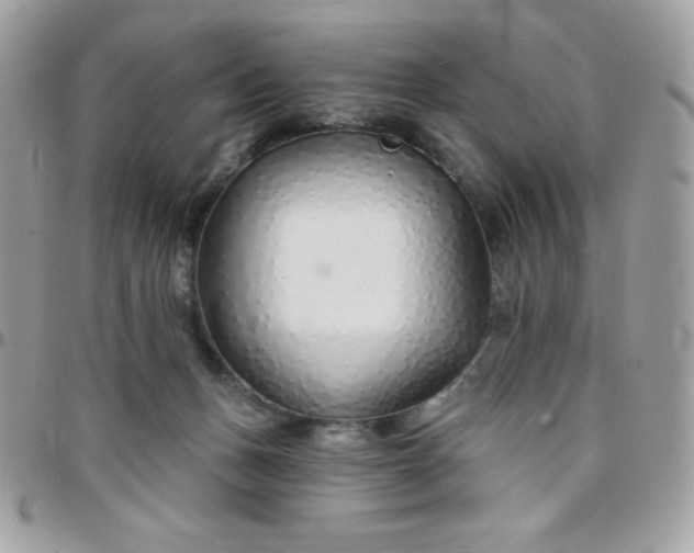 X0000097750175200803211700