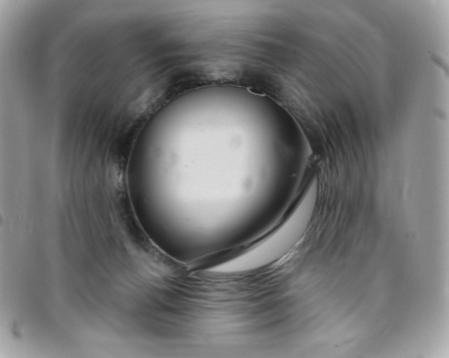 X0000097750176200803211700