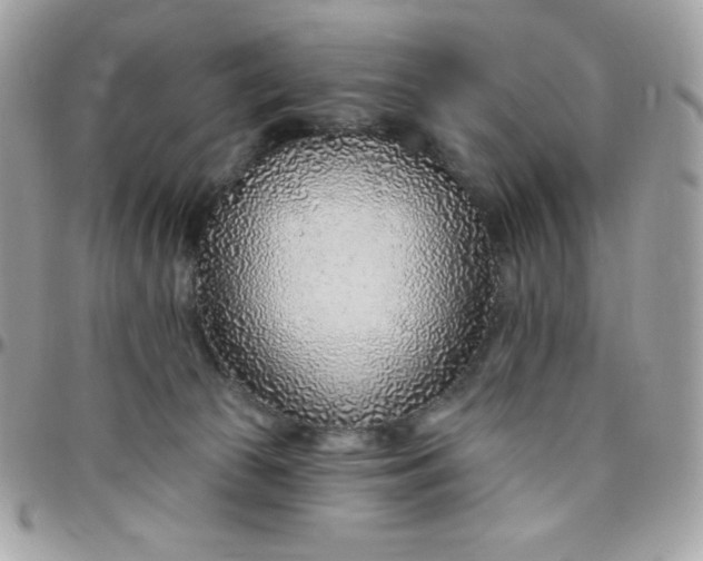 X0000097750177200803211700