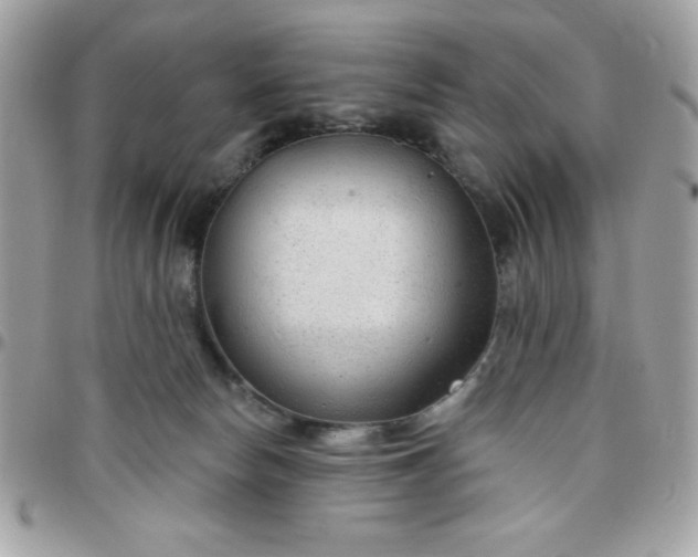 X0000097750178200803211700