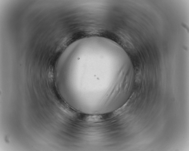 X0000097750179200803211700