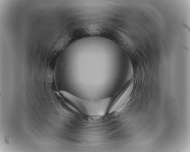 X0000097750180200803211700