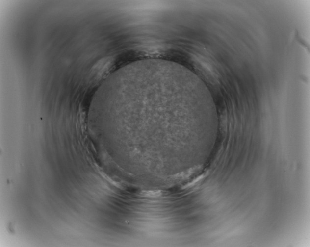 X0000097750181200803211700