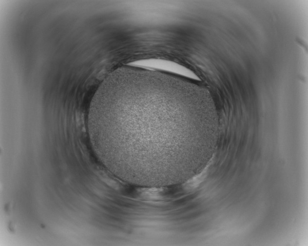 X0000097750182200803211700