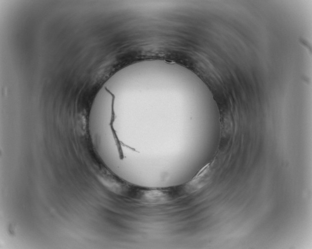 X0000097750183200803211700