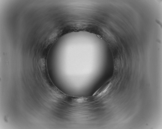 X0000097750184200803211700