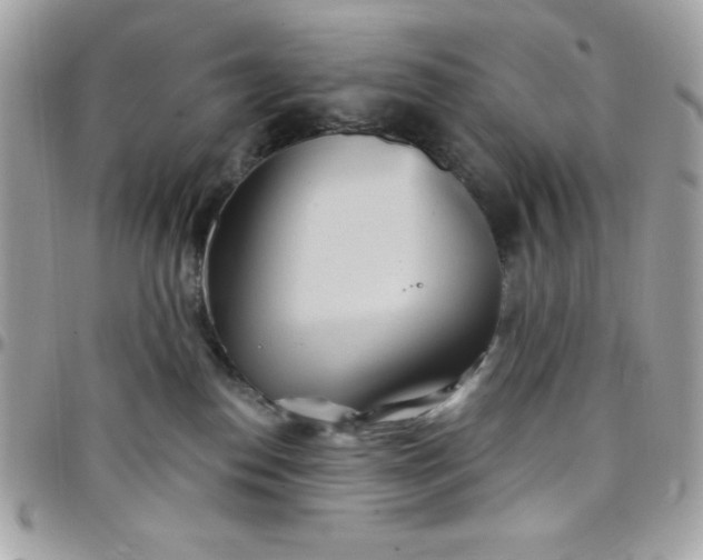 X0000097750186200803211700