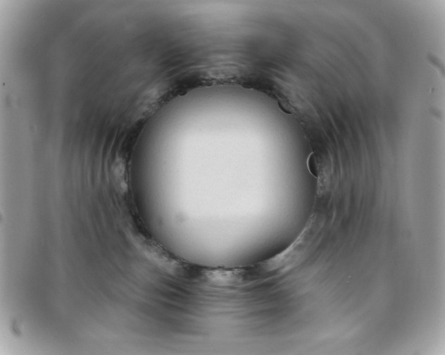 X0000097750187200803211700