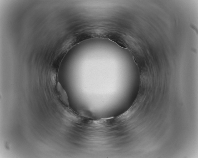 X0000097750188200803211700