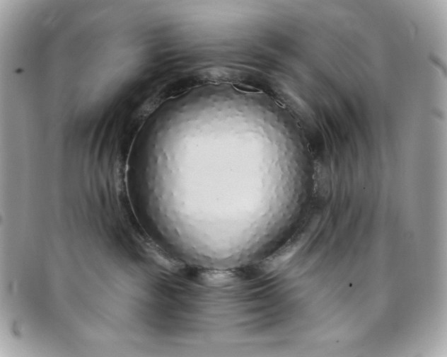 X0000097750189200803211700