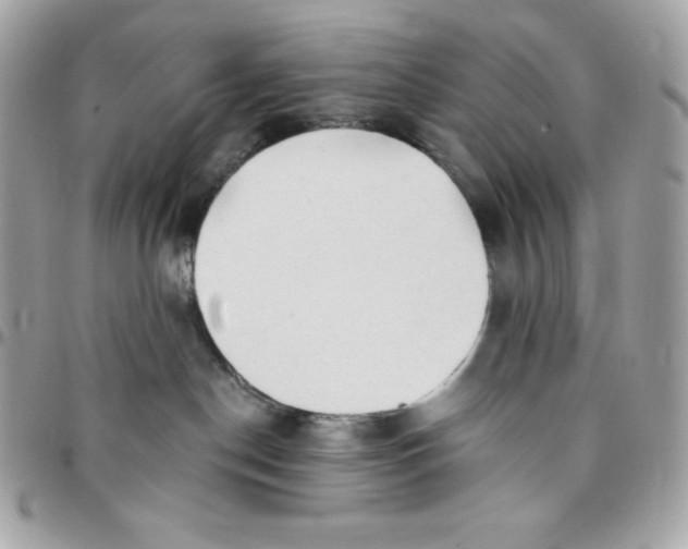 X0000097750190200803211700