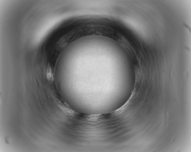 X0000097750191200803211700