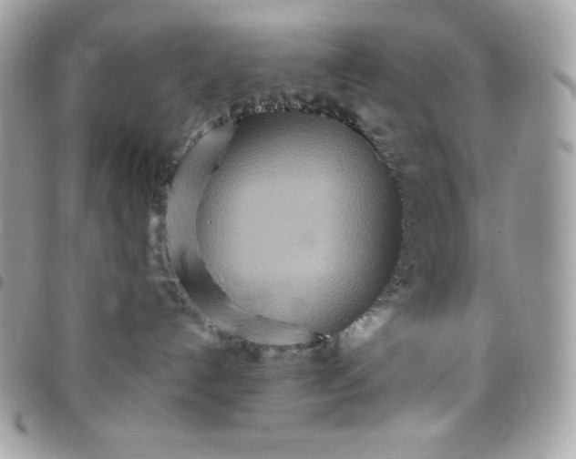 X0000097750192200803211700