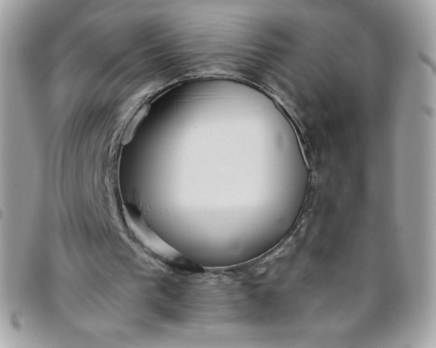 X0000097750193200803211659